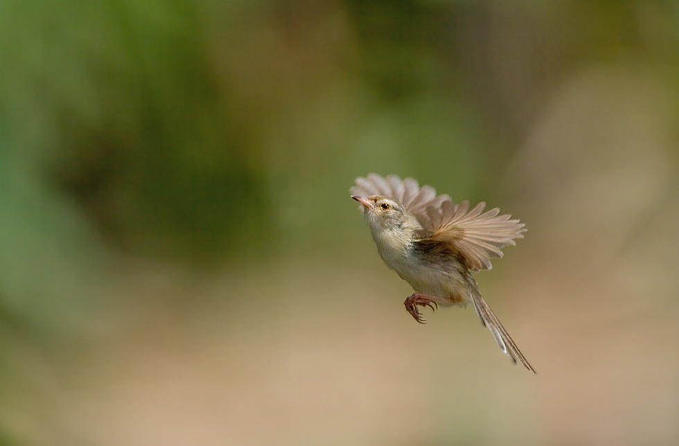 http://i.dcview.tw/gallery/201205/22e5cb32d2200e616a151eac840d2f24.jpg