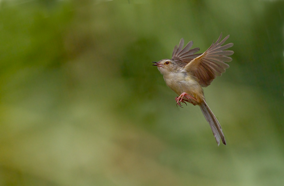 http://i.dcview.tw/gallery/201205/2339b1b441f63b62b392aeeda6cb0382.jpg