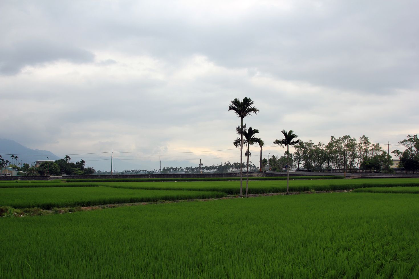 http://i.dcview.tw/gallery/201205/243324e980b5c5055b48135d725a9169.jpg
