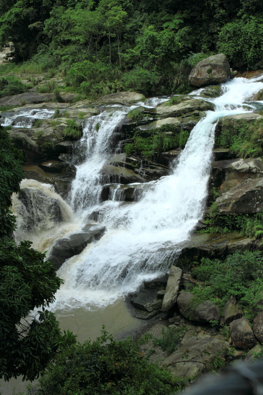 http://i.dcview.tw/gallery/201205/272df6313b6ec774e78c5adbb3c5edcb.jpg