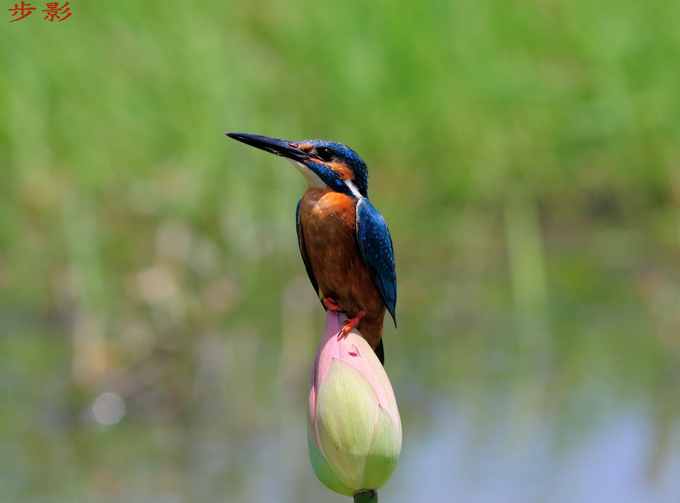 http://i.dcview.tw/gallery/201205/27704c152c2c6f3d453c3ef70be3371a.jpg