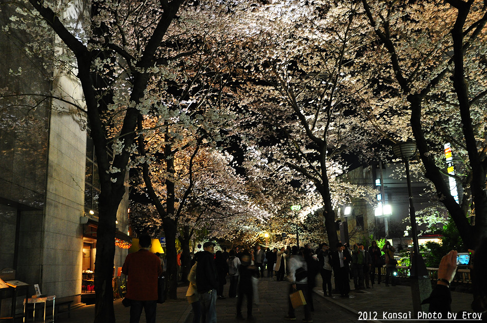 http://i.dcview.tw/gallery/201205/2800055b51e2062c090bc7b84b3ec8d8.jpg