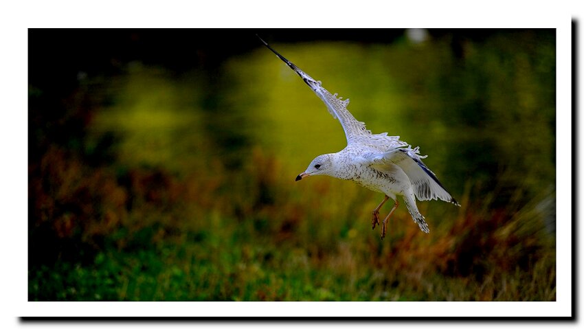 http://i.dcview.tw/gallery/201205/295fa07e10b0da77c11f5d87c876f647.jpg