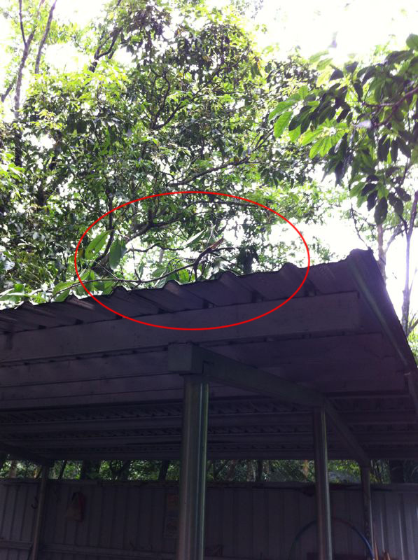 http://i.dcview.tw/gallery/201205/2bd64292b06b0fc7fdf6eeb30564cb46.jpg