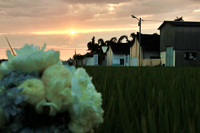 http://i.dcview.tw/gallery/201205/2df9f5a30bf591d1a2ef38c83d4afd75.jpg