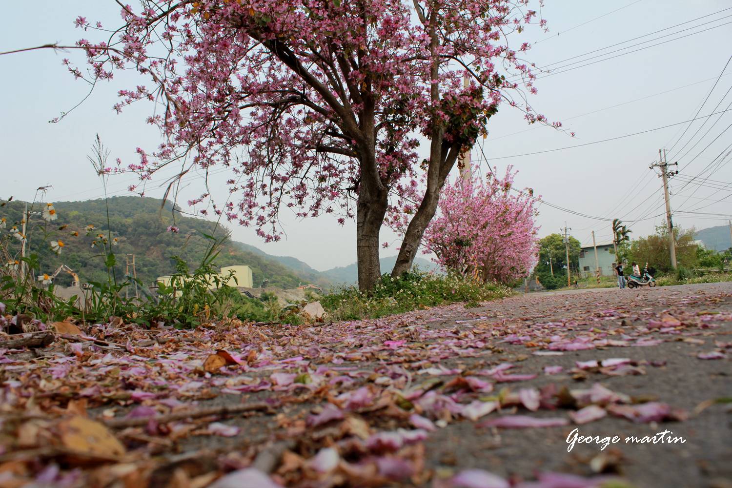 http://i.dcview.tw/gallery/201205/2f9c6ef1730c53f5921ed074951efe2b.jpg