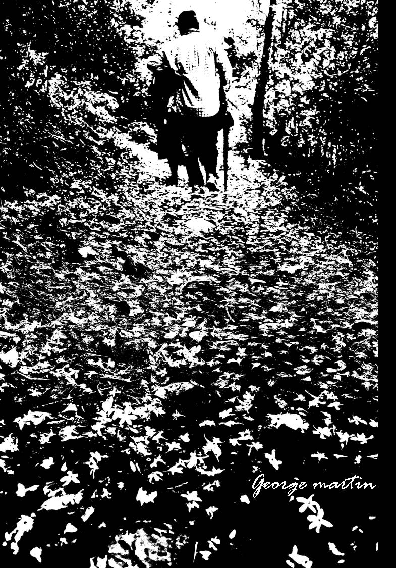 http://i.dcview.tw/gallery/201205/3081ae7728424f7a58b36f0f57e5629f.jpg