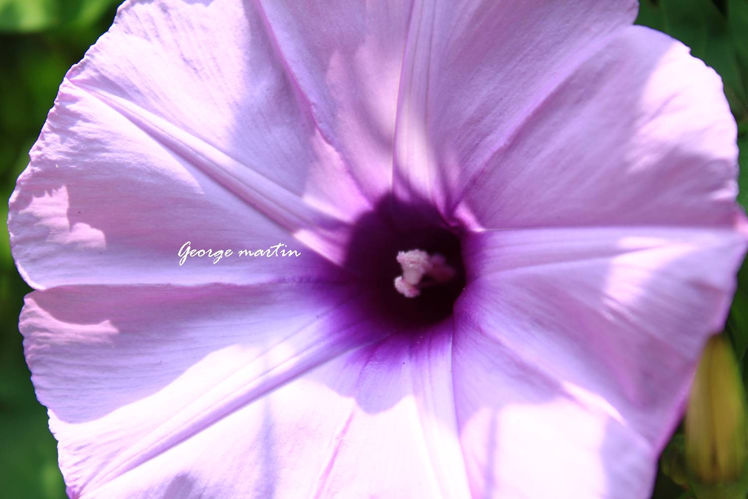 http://i.dcview.tw/gallery/201205/30b8d95a25cfba07d0a8a9a3233d0426.jpg