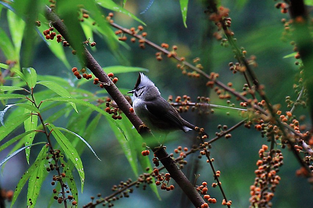http://i.dcview.tw/gallery/201205/31dcd91f7dd2a6b499b1c463d511e0fe.jpg
