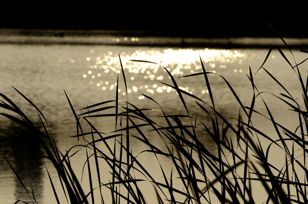 http://i.dcview.tw/gallery/201205/32c1bd4cf5ce5fee2809902cf1ce93ce.jpg