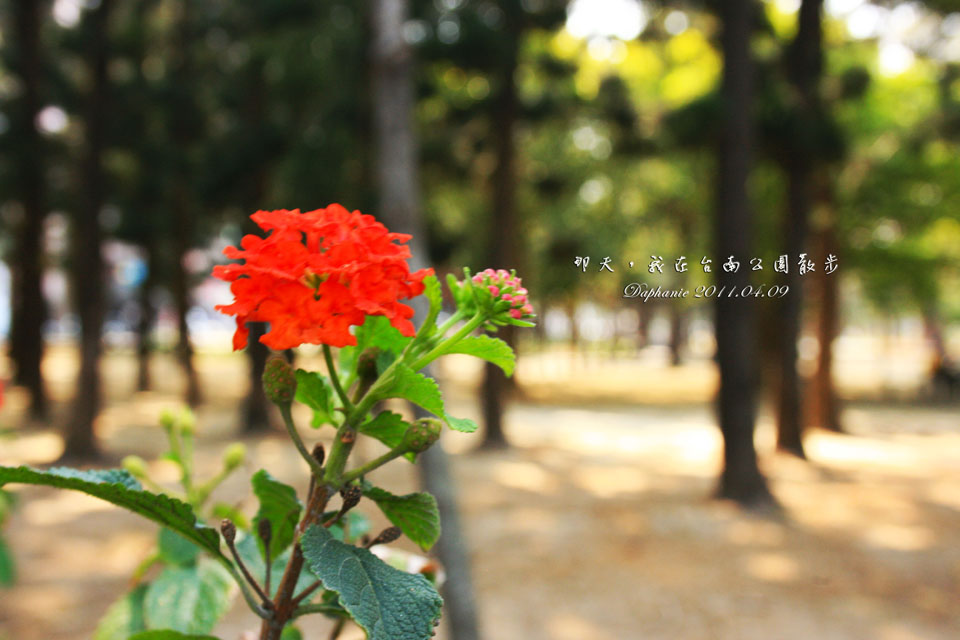 http://i.dcview.tw/gallery/201205/35c8b04445683bf08b0685cf4474f82a.jpg