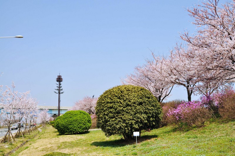 http://i.dcview.tw/gallery/201205/396d644a45098684299c129a459b88c2.jpg