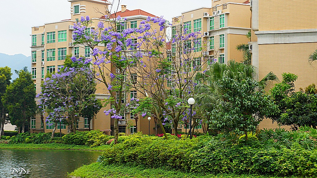 http://i.dcview.tw/gallery/201205/3cf0926a4d5f1edd605e13c64a517e3a.jpg