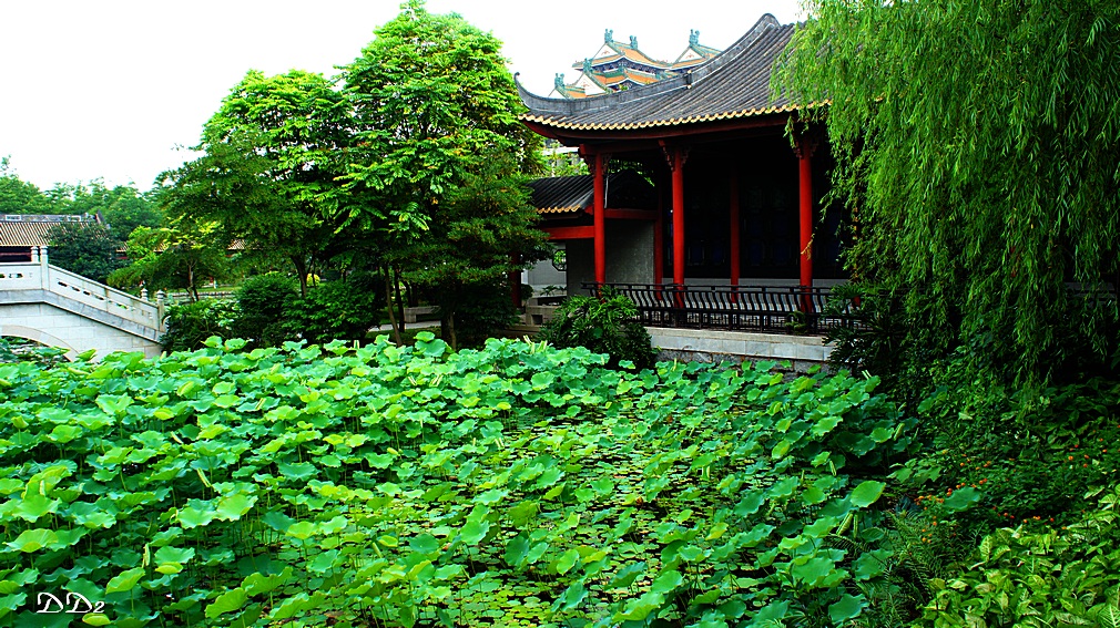 http://i.dcview.tw/gallery/201205/40d1b690cbb5ae1994d1cca3cafc4d0d.jpg