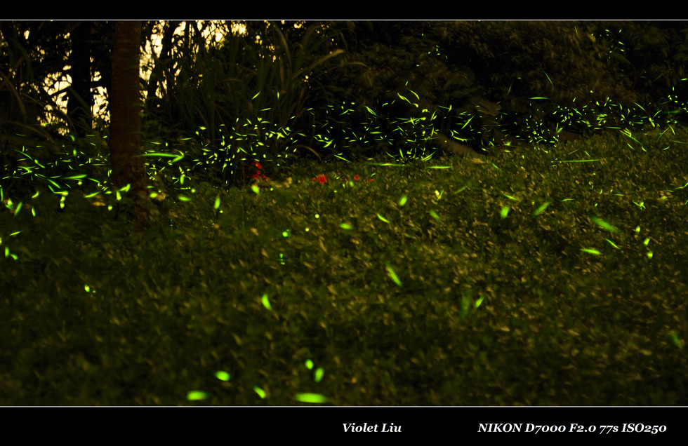 http://i.dcview.tw/gallery/201205/4183a8a48047bb6944f562e5714283af.jpg