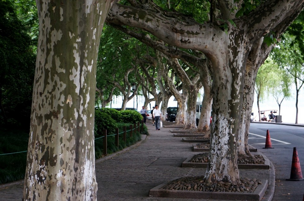 http://i.dcview.tw/gallery/201205/44c30cc3b6b94fa16b454bb43108fdcf.jpg