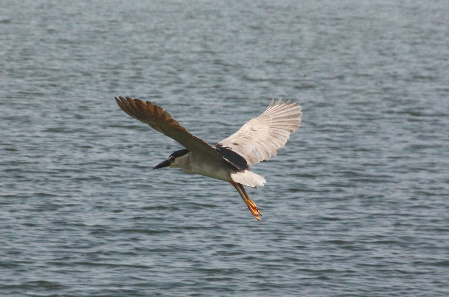 http://i.dcview.tw/gallery/201205/46262f7cbb75447744e4807b9f5471af.jpg
