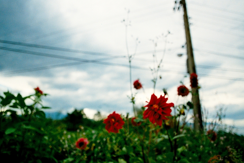 http://i.dcview.tw/gallery/201205/465f6d80b76764d49aecd351df60d511.jpg