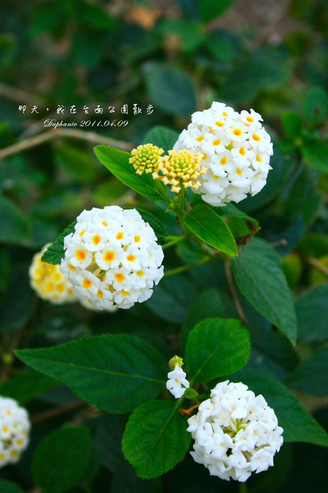 http://i.dcview.tw/gallery/201205/46c6944d31384ea6a4685c4a7410e7cd.jpg