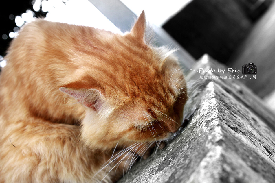 http://i.dcview.tw/gallery/201205/47026884ec28da1a5cb3565c6040c46f.jpg