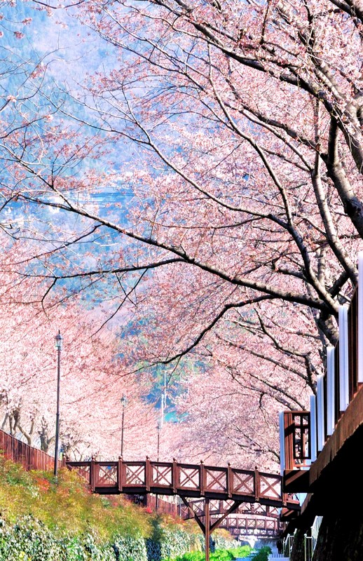http://i.dcview.tw/gallery/201205/48ceab5dbd1190be8a08af5fe8203008.jpg