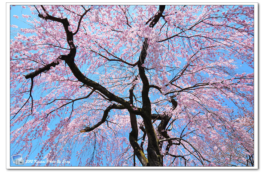 http://i.dcview.tw/gallery/201205/55fc0857bac22cd5c96ccd588dc09f5c.jpg