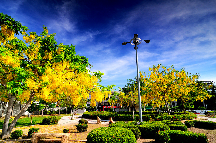 http://i.dcview.tw/gallery/201205/5623c6d2565e838fb837d4e11bc16cd9.jpg