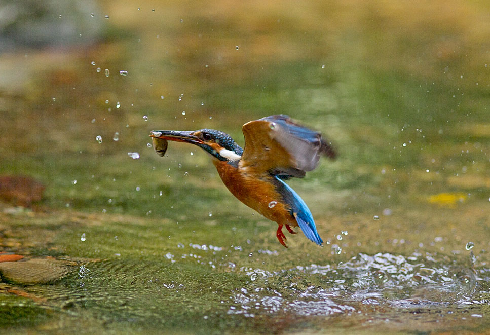 http://i.dcview.tw/gallery/201205/57434f1455b03ea9ba2ffdf82c91f5cb.jpg