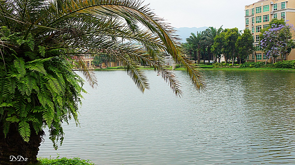 http://i.dcview.tw/gallery/201205/58e124dba0b1ff9d8d19bafe5ffea5b4.jpg