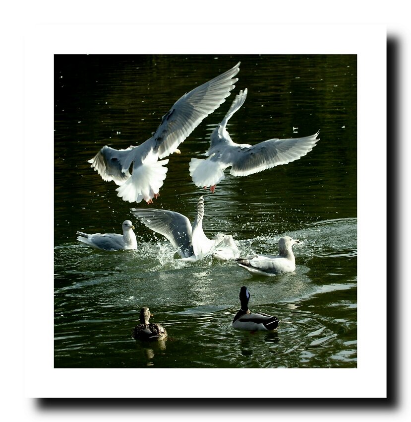 http://i.dcview.tw/gallery/201205/5cb0225d6047ad9c6144ca224845c799.jpg