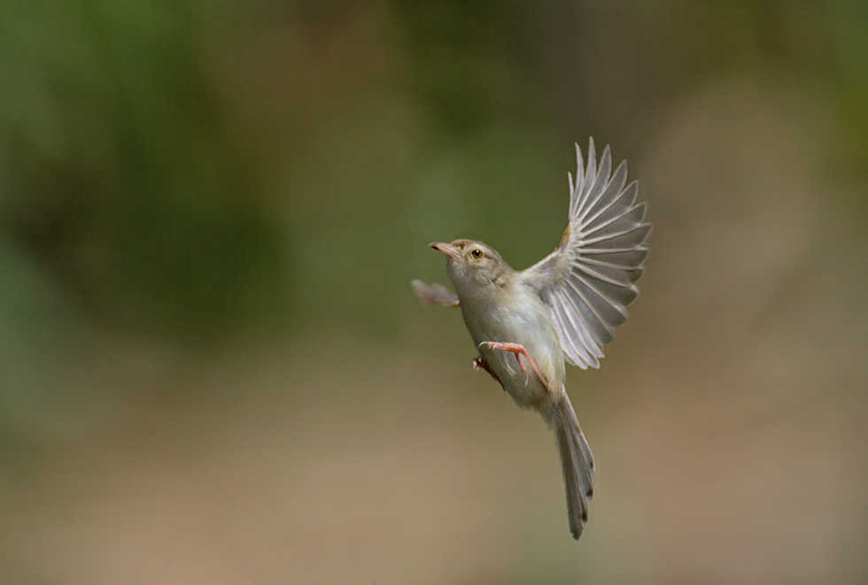 http://i.dcview.tw/gallery/201205/5fc0b74387b75788bd5259e72c0d586e.jpg