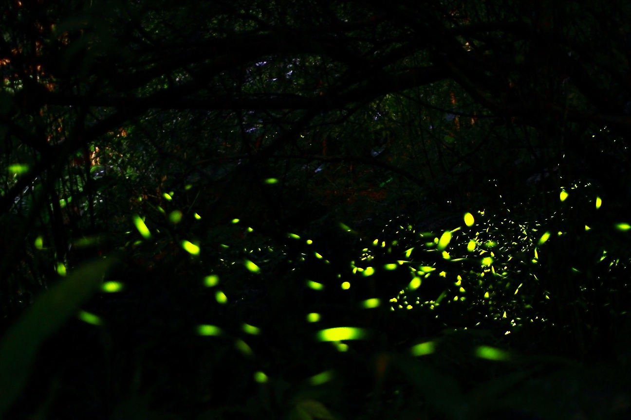 http://i.dcview.tw/gallery/201205/5fd6e0685206d5f47401c6bb12396be0.jpg