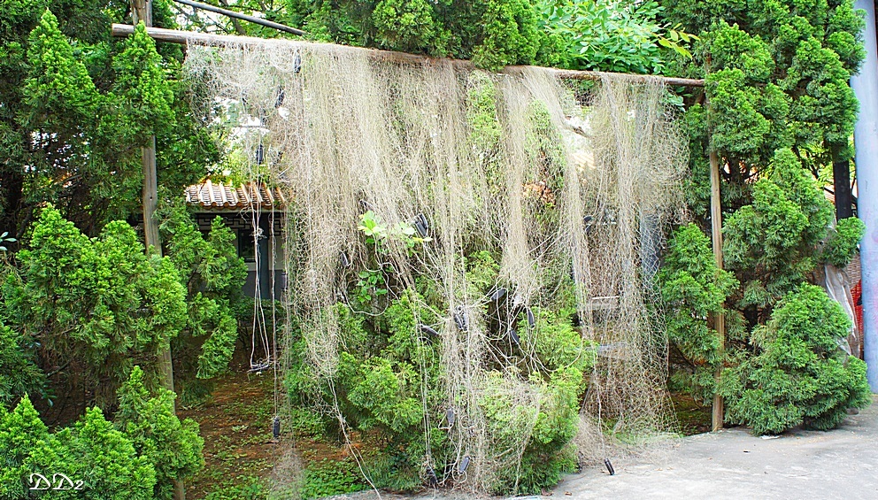 http://i.dcview.tw/gallery/201205/6087f4b4e4faf3f93a40456cb7e9d784.jpg