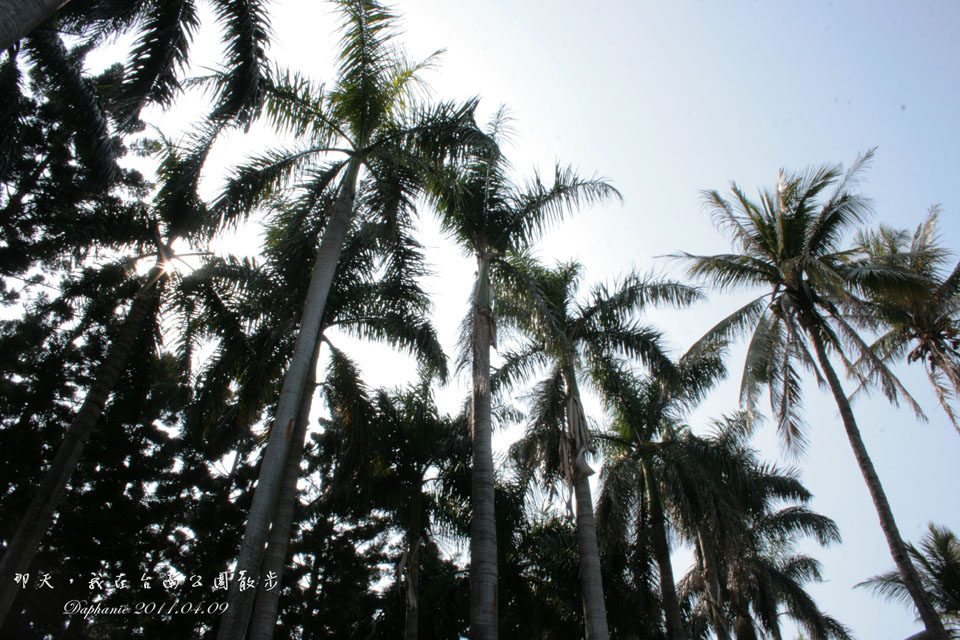 http://i.dcview.tw/gallery/201205/60ce720d32f02695cf2cd4c0acf4e8e8.jpg