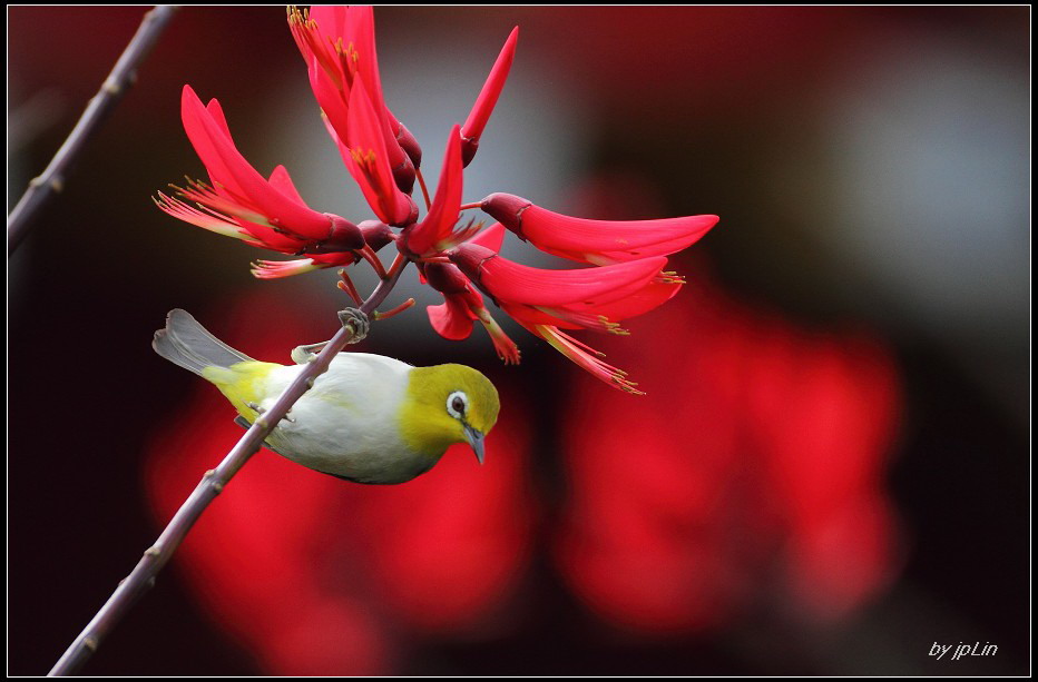http://i.dcview.tw/gallery/201205/6306f45be6d3f9fbbe73235e0d3574ae.jpg
