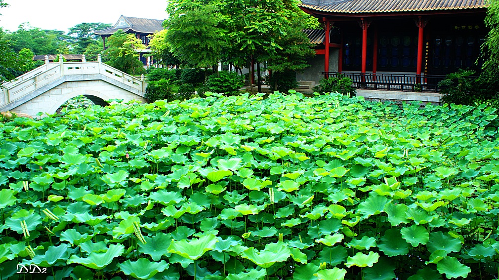 http://i.dcview.tw/gallery/201205/6516f939f54274db90c0afe5a84fbbc0.jpg
