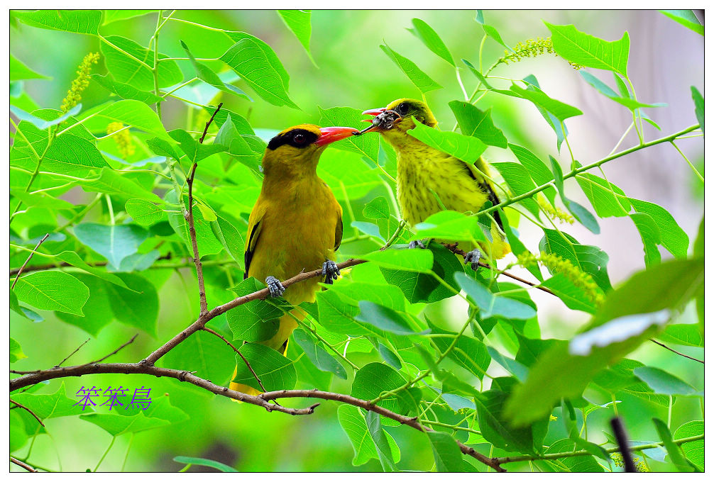 http://i.dcview.tw/gallery/201205/662cfcb39d1344ddd6c2ccf61c5d36a0.jpg