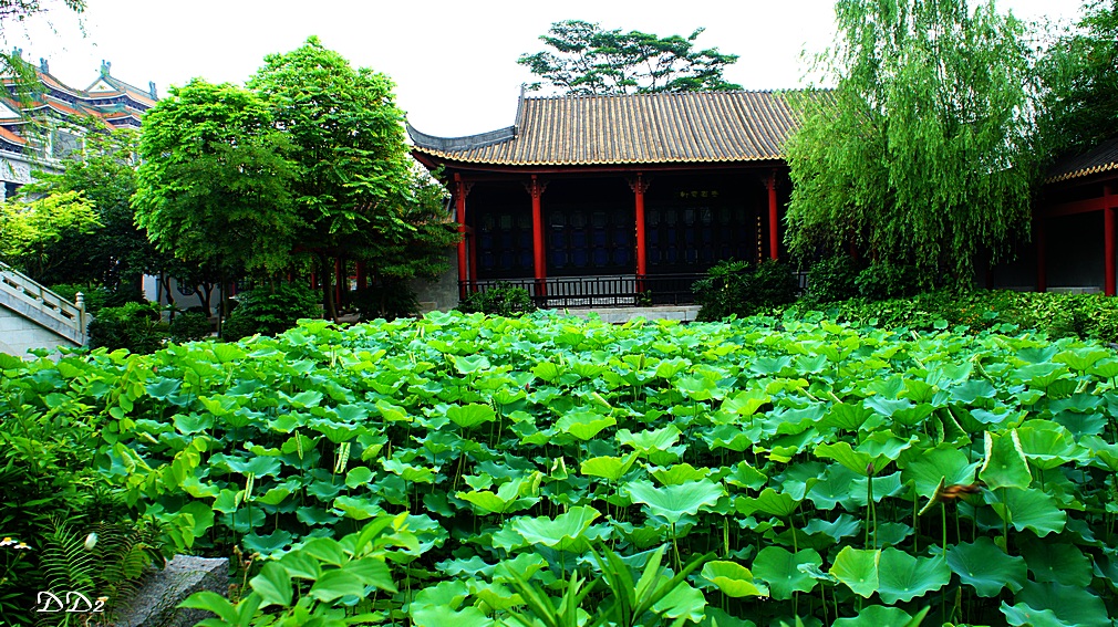 http://i.dcview.tw/gallery/201205/6674970cd1ce469d7868e09989798177.jpg