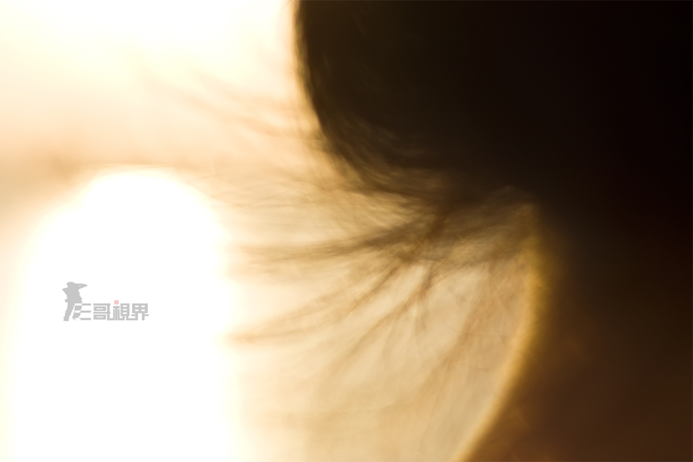 http://i.dcview.tw/gallery/201205/673827b7789a729df58990690361cc2a.jpg