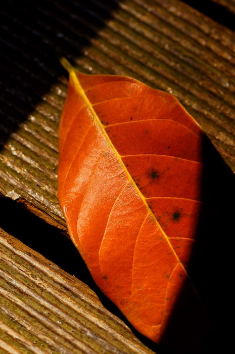 http://i.dcview.tw/gallery/201205/67e5e80ce3c61d5002dc0983c13f1827.jpg