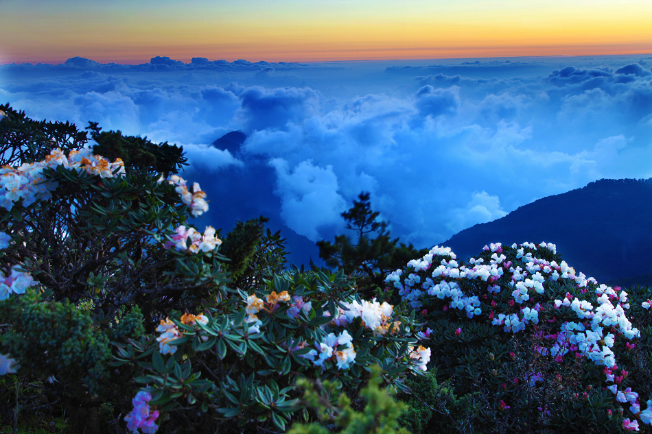 http://i.dcview.tw/gallery/201205/6b0e7a9b72dca31c4f0be4c482d6e1ef.jpg