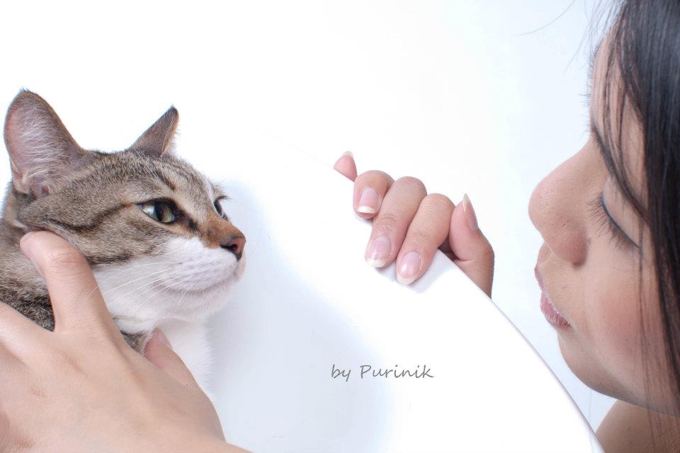 http://i.dcview.tw/gallery/201205/6cbc6506ec1a0f47c10475518695c6ae.jpg