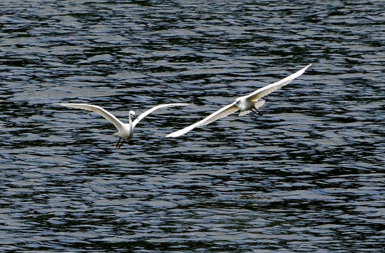http://i.dcview.tw/gallery/201205/6cf306253982153225f66b213b355a86.jpg
