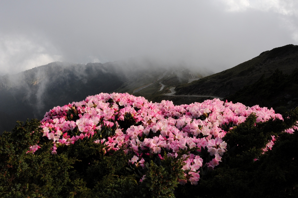 http://i.dcview.tw/gallery/201205/6eeff0337af382d37b9b91ad357b1696.jpg