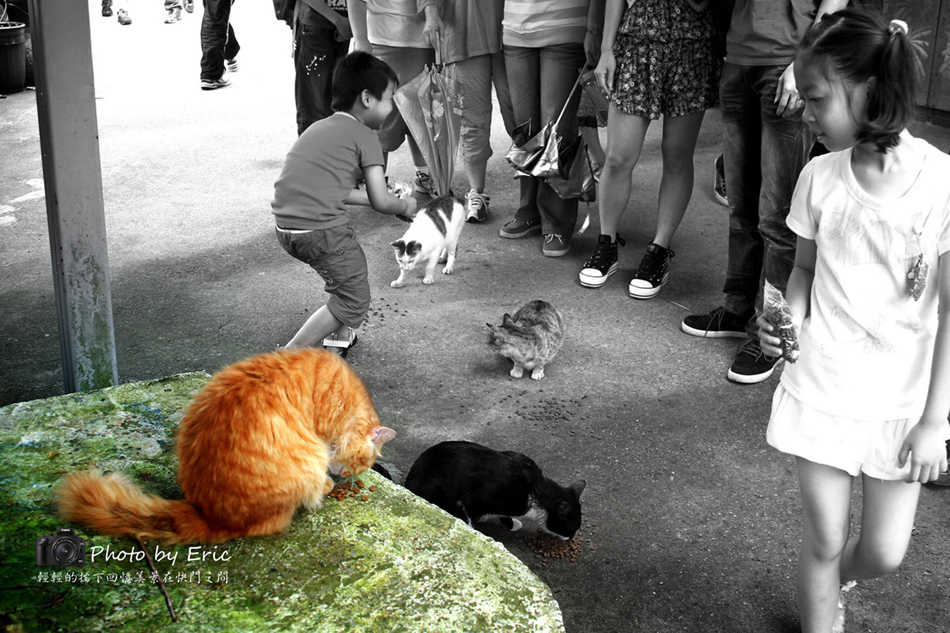 http://i.dcview.tw/gallery/201205/778d255b9efe676bfed6fea5a9cf4ef6.jpg