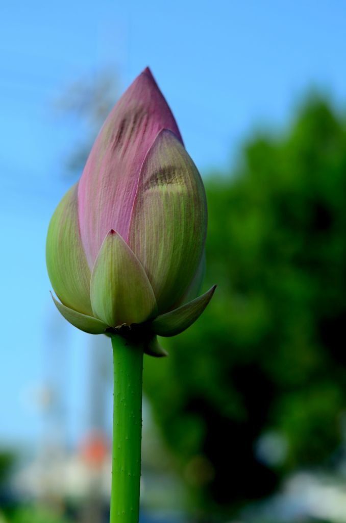 http://i.dcview.tw/gallery/201205/78f203c982df331ab29ecc5f3d6dab66.jpg