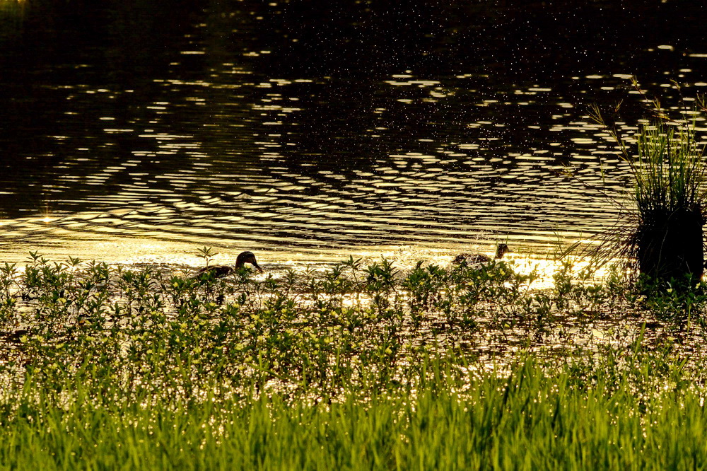 http://i.dcview.tw/gallery/201205/79b00d784792c7581b1d6f0d8f3938cd.jpg