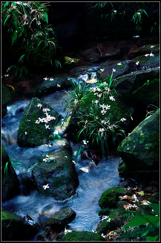 http://i.dcview.tw/gallery/201205/7b9d4988f68f20f0de1873b17c048a01.jpg