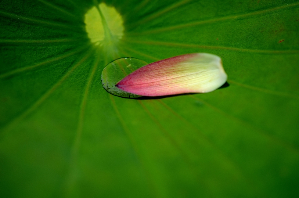 http://i.dcview.tw/gallery/201205/7e857a57a3bb2c40d3f318ef04b76d8a.jpg