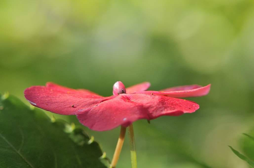 http://i.dcview.tw/gallery/201205/7ee1fde1787b79a9631e365fe0f99d71.jpg
